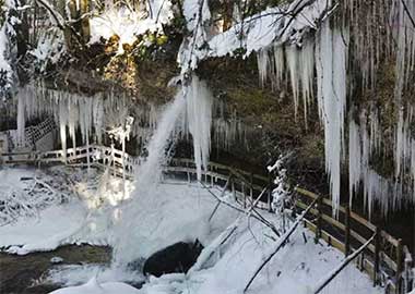 Ausflugsziele im Allgäu im Winter Scheidegger Wasserfälle
