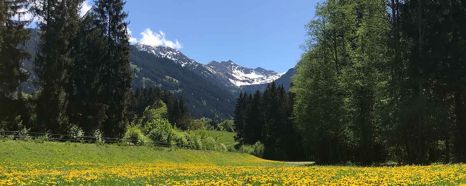 Ausflugsziele Oberallgäu Ausflugstipps Ausflugsideen