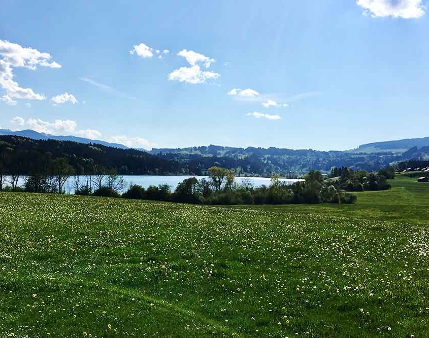 Niedersonthofener See | Oberallgäu