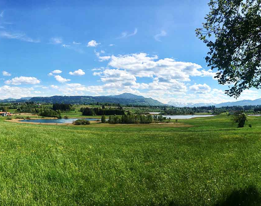 Niedersonthofener See | Oberallgäu