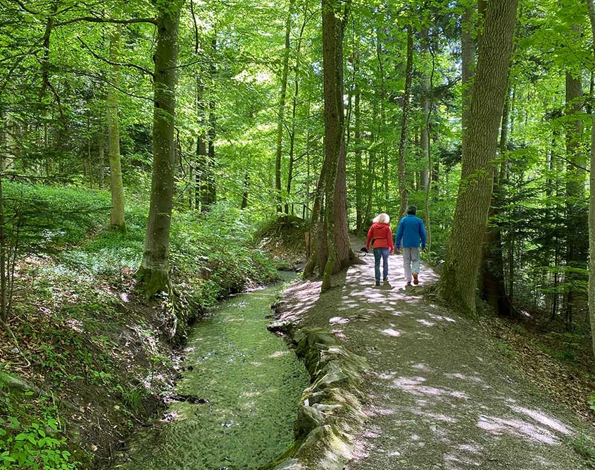 Walderlebnispfad Bannwald bei Ottobeuren im Unterallgäu