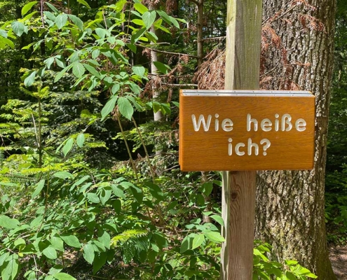 Walderlebnispfad Bannwald bei Ottobeuren im Unterallgäu