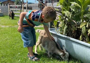 Streichelzoo Allgäu Oberallgäu Burgberg