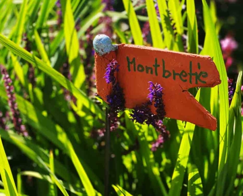 Honigdorf Seegn Blumen für Bienen