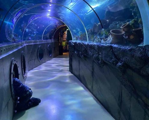Aquariumtunnel Sealife Konstanz Aquarium am Bodensee