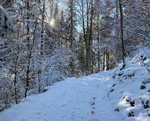 Winterwanderung Pfronten zu den Burgruinen Eisenberg und Hohenfreyberg