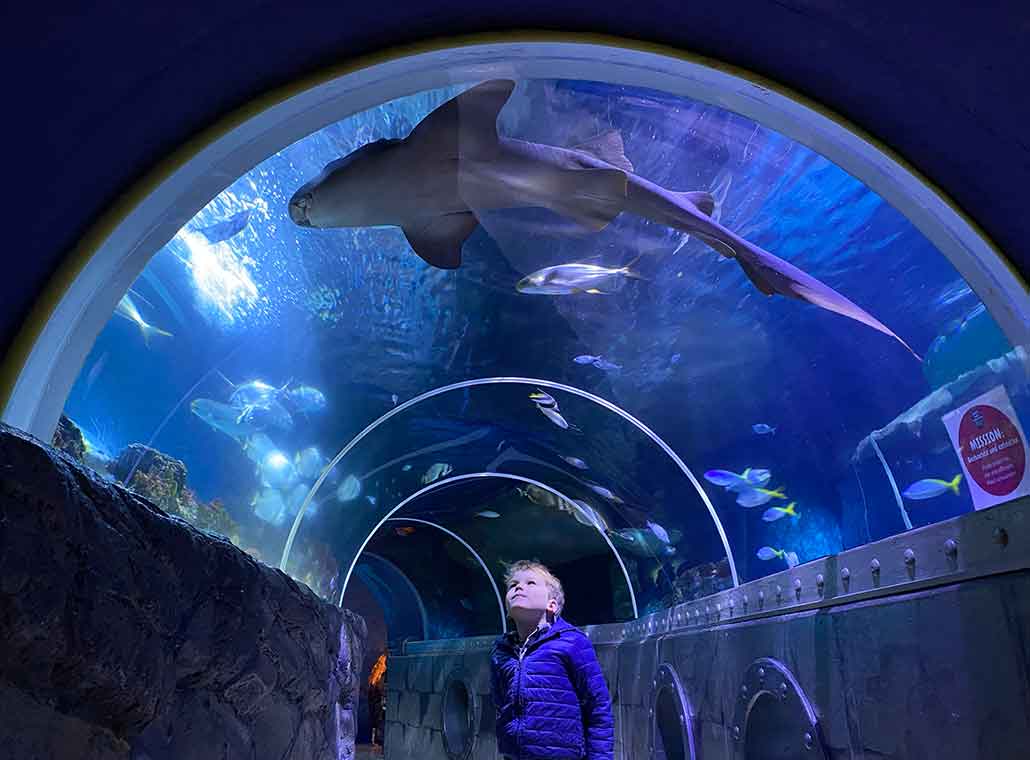 Sealife Konstanz Aquarium am Bodensee
